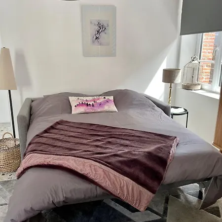 Appartement Le Terrazzo - Lumineux Centre Eu *